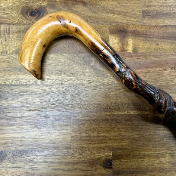 Walking Stick 5